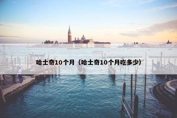 哈士奇10个月（哈士奇10个月吃多少）