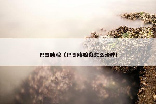 巴哥胰腺（巴哥胰腺炎怎么治疗）