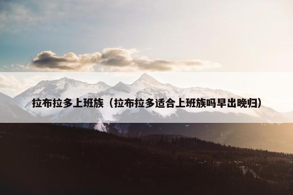 拉布拉多上班族（拉布拉多适合上班族吗早出晚归）
