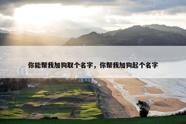 你能帮我加狗取个名字，你帮我加狗起个名字