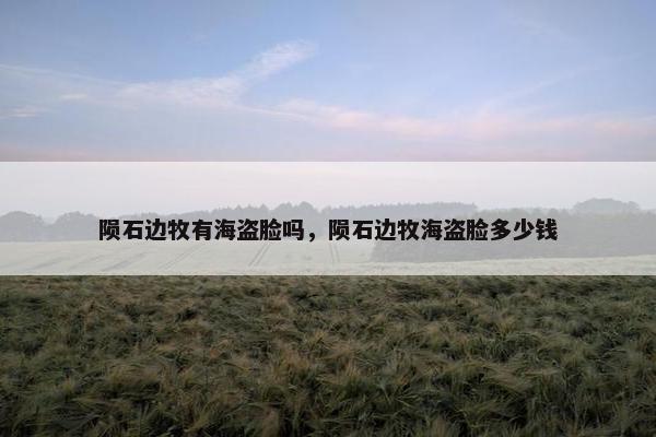 陨石边牧有海盗脸吗，陨石边牧海盗脸多少钱