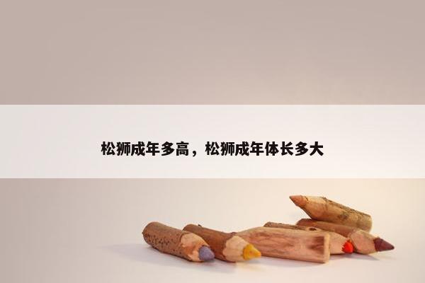 松狮成年多高，松狮成年体长多大