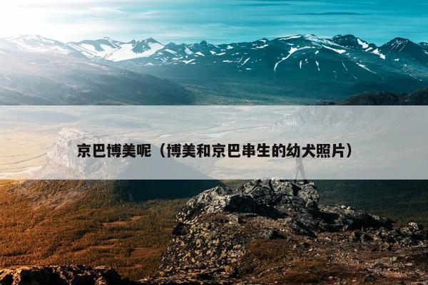 京巴博美呢（博美和京巴串生的幼犬照片）
