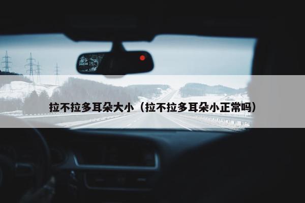 拉不拉多耳朵大小（拉不拉多耳朵小正常吗）