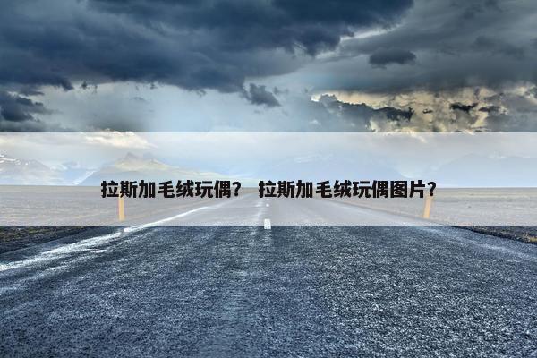 拉斯加毛绒玩偶？ 拉斯加毛绒玩偶图片？