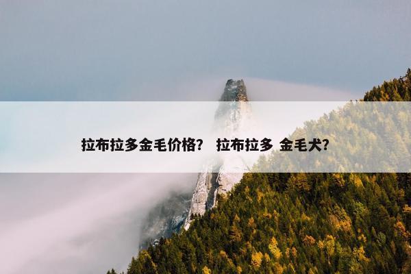 拉布拉多金毛价格？ 拉布拉多 金毛犬？