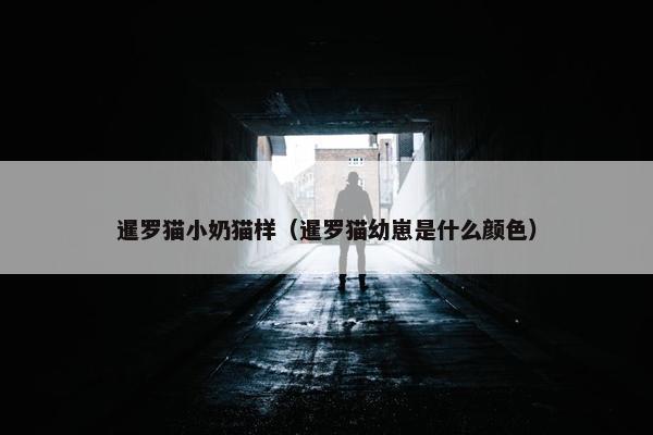 2025年6月10日 第3页