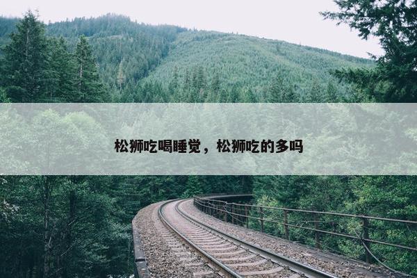 松狮吃喝睡觉，松狮吃的多吗