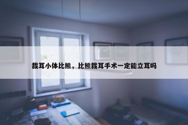 裁耳小体比熊，比熊裁耳手术一定能立耳吗