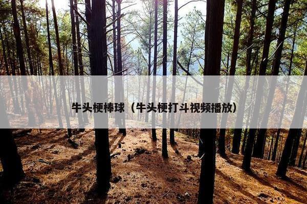 牛头梗棒球（牛头梗打斗视频播放）