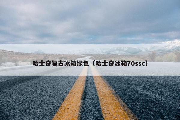 哈士奇复古冰箱绿色（哈士奇冰箱70ssc）