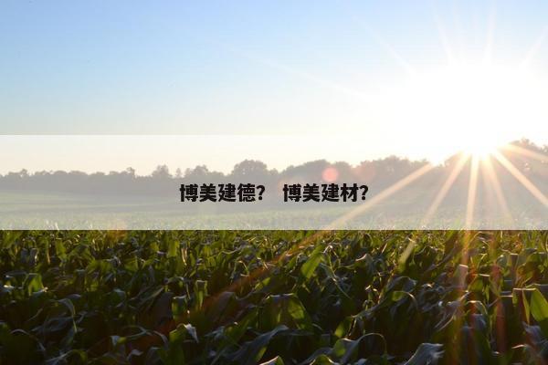 博美建德？ 博美建材？