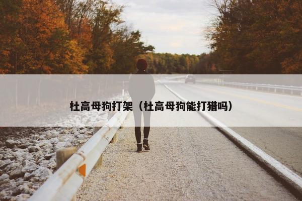 杜高母狗打架（杜高母狗能打猎吗）