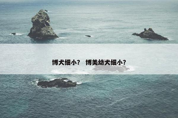 博犬细小？ 博美幼犬细小？