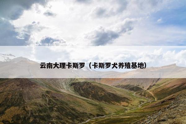 云南大理卡斯罗（卡斯罗犬养殖基地）
