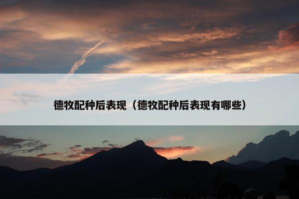 德牧配种后表现（德牧配种后表现有哪些）