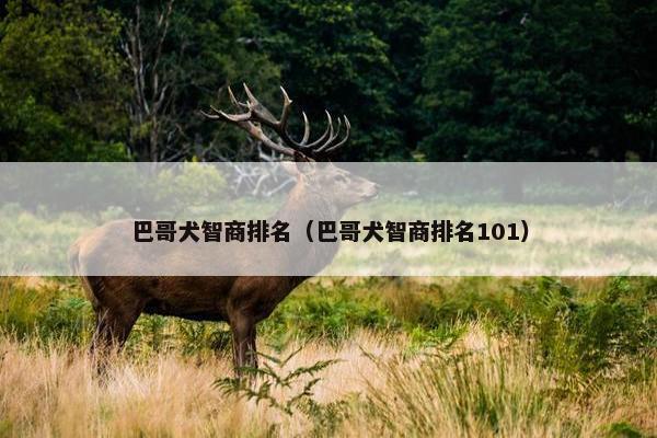 2025年6月11日 第10页