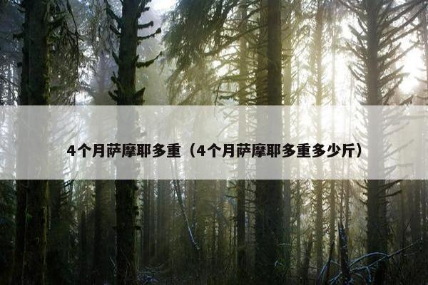 4个月萨摩耶多重（4个月萨摩耶多重多少斤）
