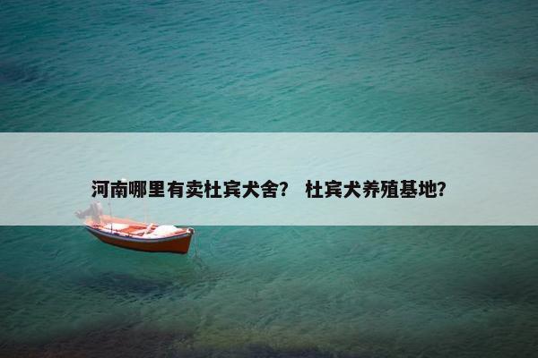 价格 第8页