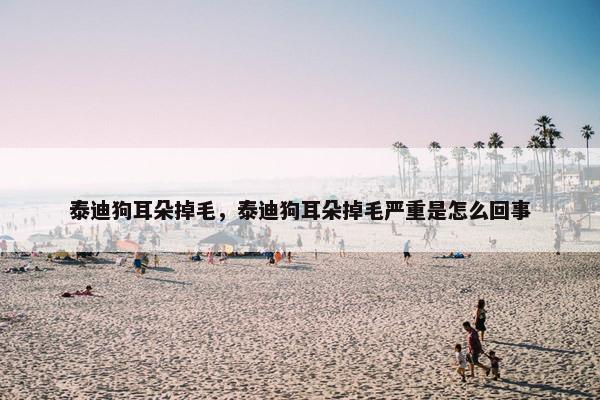泰迪狗耳朵掉毛，泰迪狗耳朵掉毛严重是怎么回事