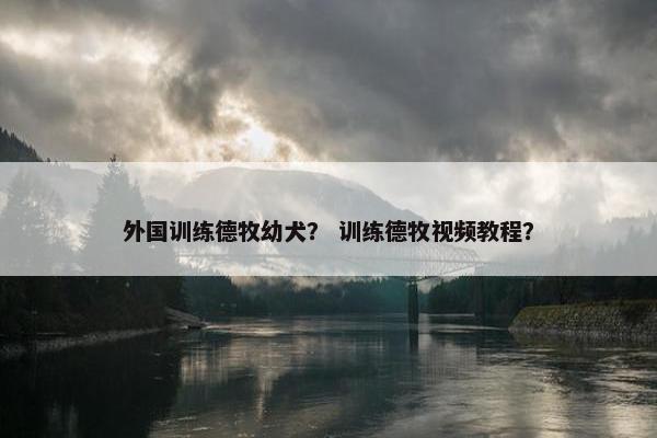 外国训练德牧幼犬？ 训练德牧视频教程？