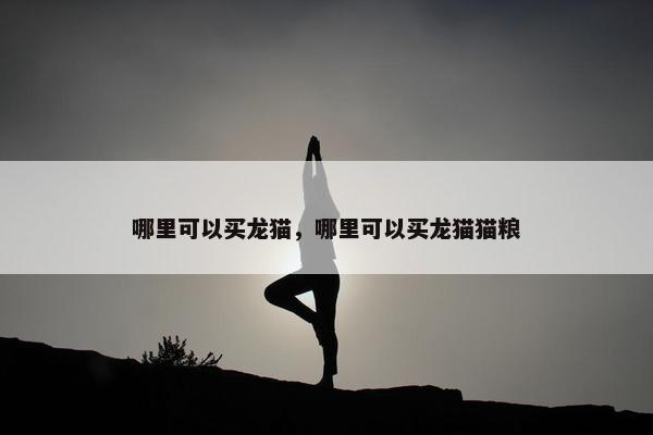 哪里可以买龙猫，哪里可以买龙猫猫粮