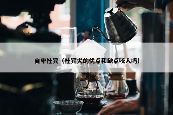自卑杜宾（杜宾犬的优点和缺点咬人吗）