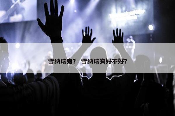 雪纳瑞鬼？ 雪纳瑞狗好不好？