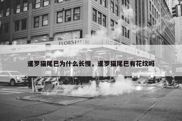暹罗猫尾巴为什么长慢，暹罗猫尾巴有花纹吗