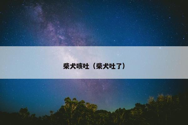 柴犬 第4页