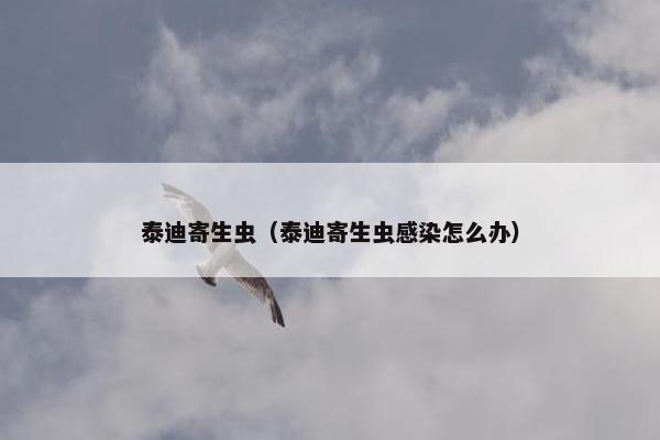 泰迪寄生虫（泰迪寄生虫感染怎么办）