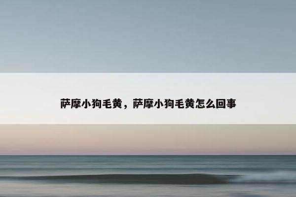 萨摩小狗毛黄，萨摩小狗毛黄怎么回事