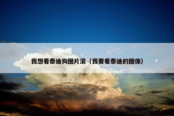 我想看泰迪狗图片滚（我要看泰迪的图像）