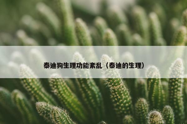 泰迪狗生理功能紊乱（泰迪的生理）