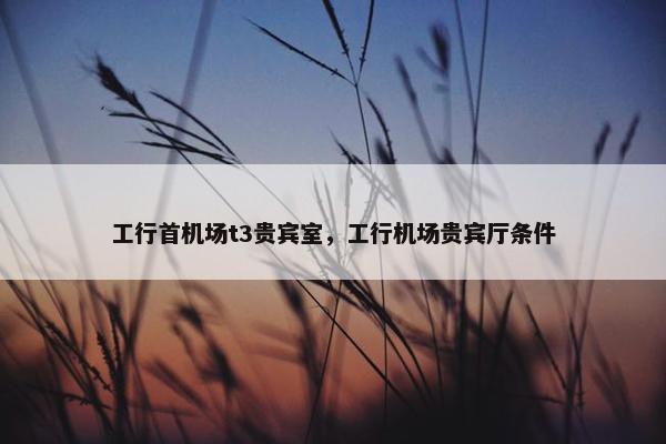 工行首机场t3贵宾室，工行机场贵宾厅条件