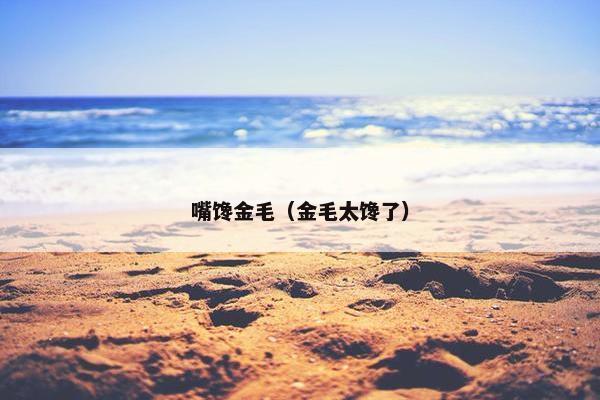 嘴馋金毛（金毛太馋了）