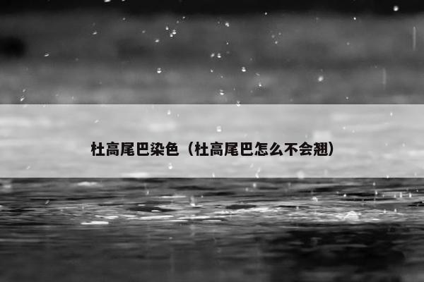 杜高尾巴染色（杜高尾巴怎么不会翘）