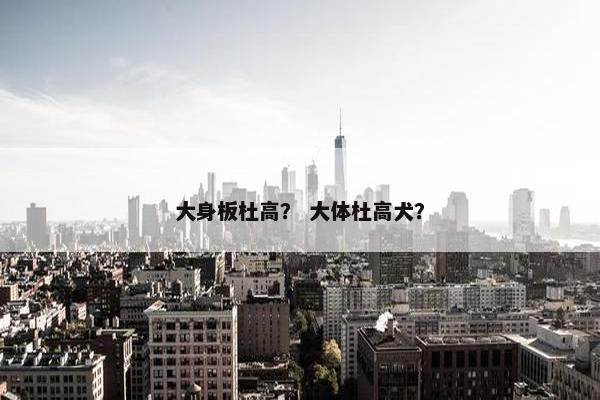 大身板杜高？ 大体杜高犬？