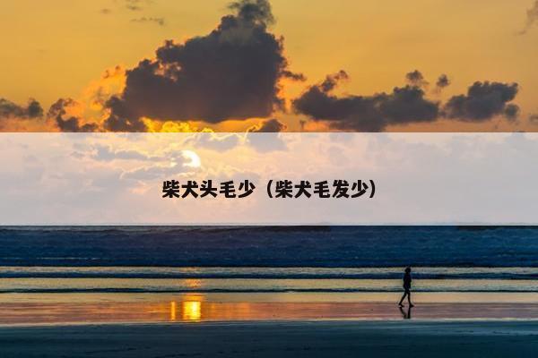 柴犬头毛少（柴犬毛发少）