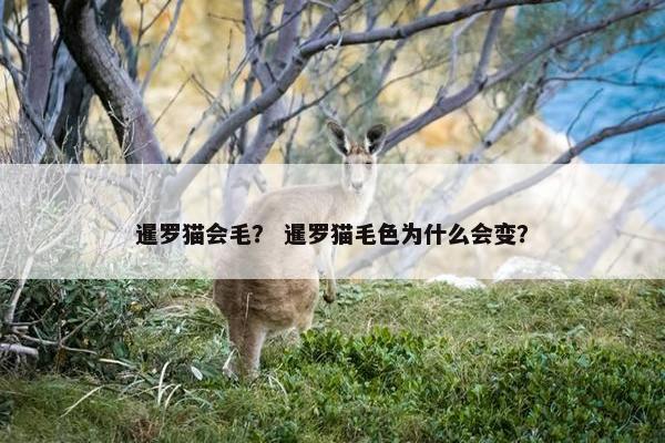 2025年6月11日 第2页