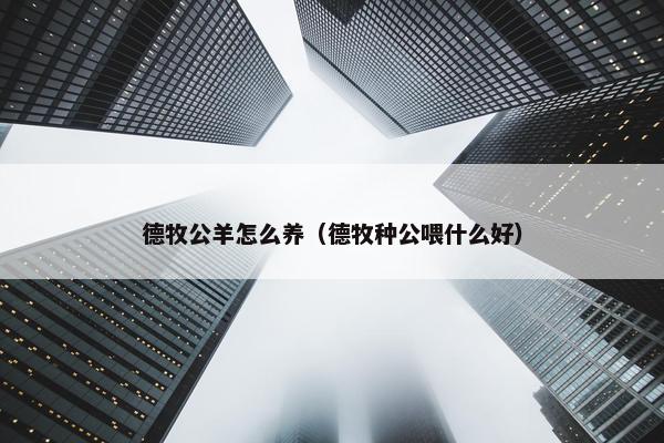 德牧公羊怎么养（德牧种公喂什么好）