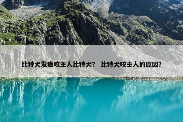 比特犬发疯咬主人比特犬？ 比特犬咬主人的原因？