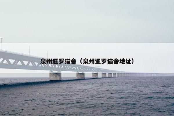 泉州暹罗猫舍（泉州暹罗猫舍地址）