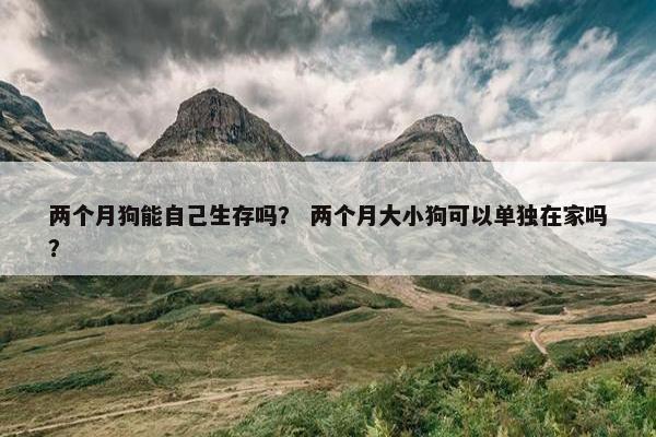 两个月狗能自己生存吗？ 两个月大小狗可以单独在家吗？