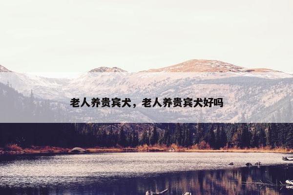 老人养贵宾犬，老人养贵宾犬好吗