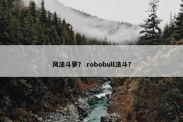 2025年6月11日