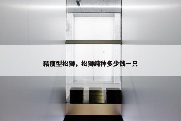 精瘦型松狮，松狮纯种多少钱一只