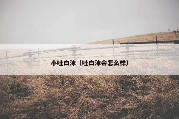 小吐白沫（吐白沫会怎么样）