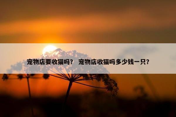 宠物店要收猫吗？ 宠物店收猫吗多少钱一只？