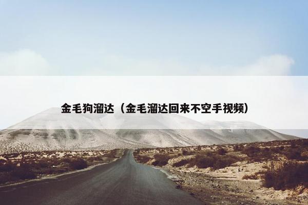 金毛狗溜达（金毛溜达回来不空手视频）